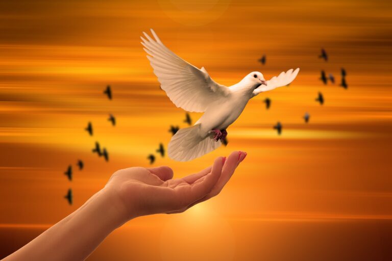 90 Peace Quotes For Instagram To Inspire You