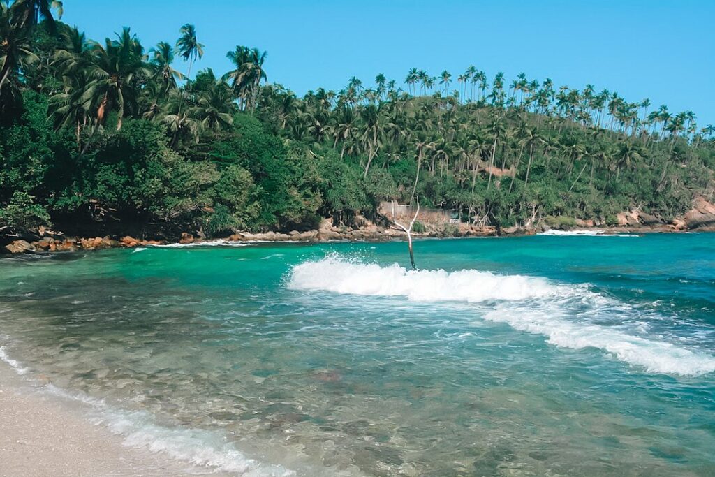 Mirissa in sri lanka